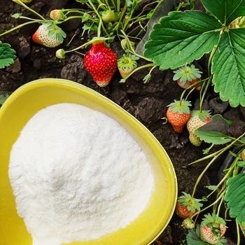 AGRICULTURE ORGANIC FERTILIZER INSTANT BORON for STRAWBERRY