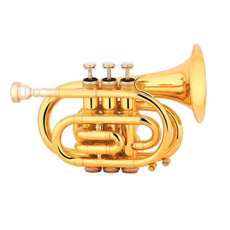 GSZ-863.jpg