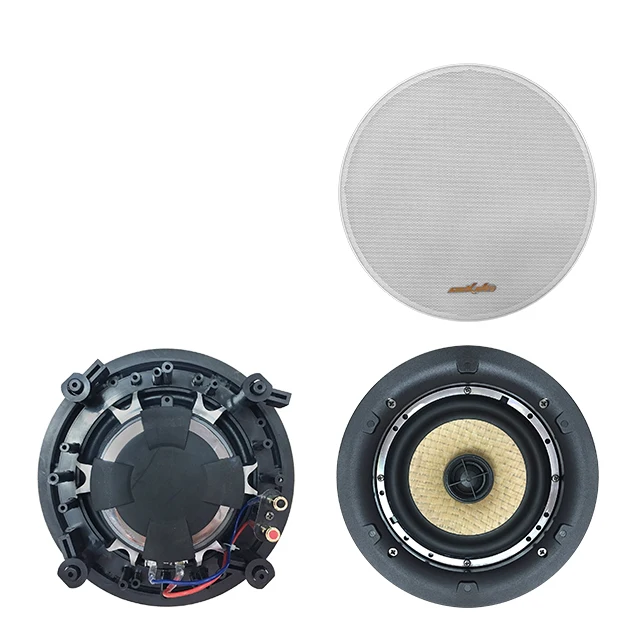 6.5inch Ceiling Speaker Background 