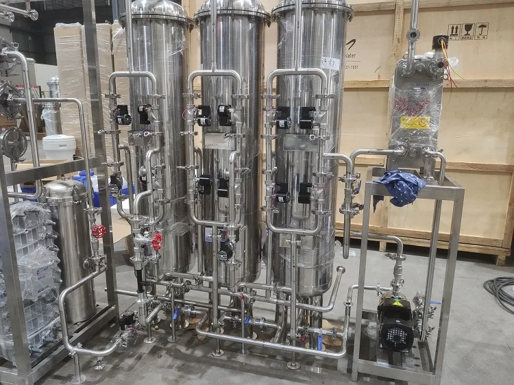 Produzione di acqua 0,25 m3/h Sistema di acqua ultrapura deionizzata EDI per laboratorio 2