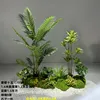 Paquete de plantas verdes 15
