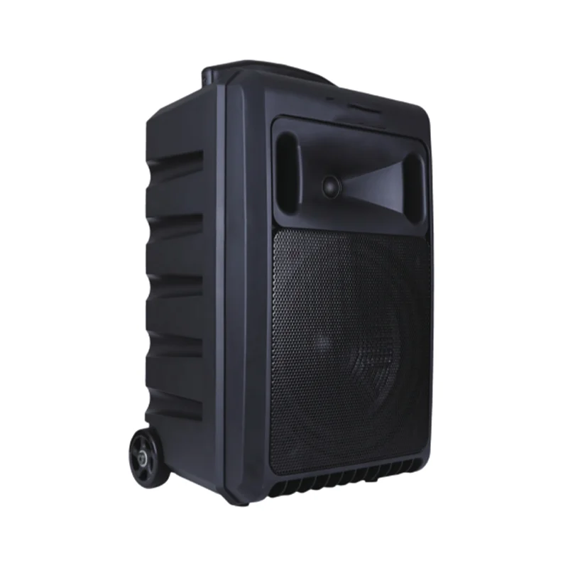 12-Inch Portable Trolley Wireless Mic Outdoor DJ Party Extra Bass Bt ...
