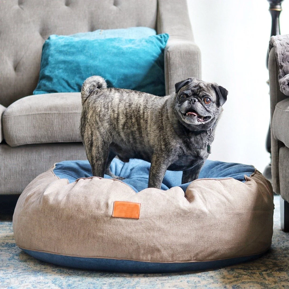 dog shaped bean bag chair