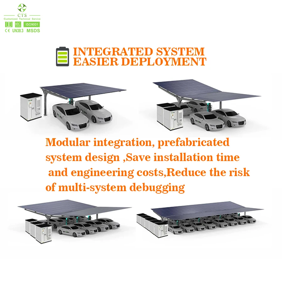 CTS Integrated Solar EV Charging Station Solutions DC Solar EV Charger with Lifepo4 Battery System and PV Panels