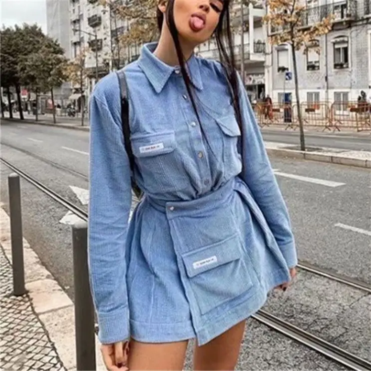 Conjunto De Dos Piezas Para Mujer,Camisa De Manga Larga Informal,Azul,Falda  Plisada,Pana,A La Moda,Primavera,Otoño E Invierno,2021 - Buy Conjunto De  Dos Piezas Para Mujer,Conjunto De Manga Larga Para Mujer,Conjunto De Otoño  Para Mujer