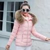 Pink + Brown Fur