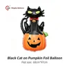 Gatto Nero su Zucca