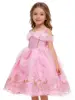 Rosa 822