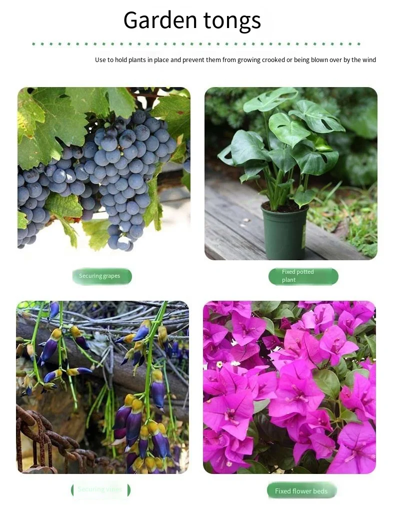 Fixed clip rose climbing vine tomato cucumber buckle seedling vegetable flower stand pole plant binding vine clip support frame factory