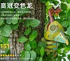 กิ้งก่ามงกุฎสูง-sl-e077
