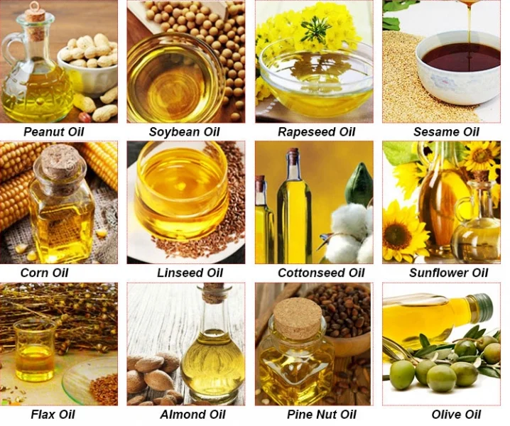 Automatic Screw Oil Press Machine Price Oilpressmachine Oil Making Machine Press Automatic Screw Oil Press Machine Price Oilpressmachine Oil Making Machine Press