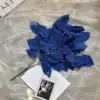 Un pequeño manojo de hojas de rosa.