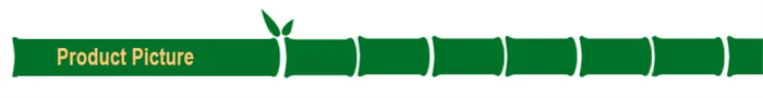 picture.jpg