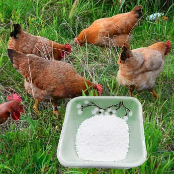 AMINO ACID PURITY 98.5% HCL HIGH QUALITY LYSINE HYDROCHLORIDE SUITABLE FOR CHICKENS AND DUCKS