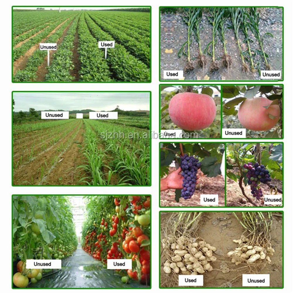 Npk 14 28 14 Fertilizer 14 23 14 Chemical 14-23-14 Msds Granular Compound Fertilizer Npk 10-18-24 Complex Fertilizers