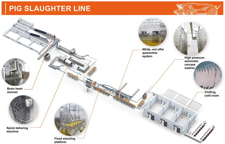 Complete pig slaughterhouse equipment for professional pig slaughtering systems