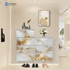 Printed Steel Shoe Cabinet
