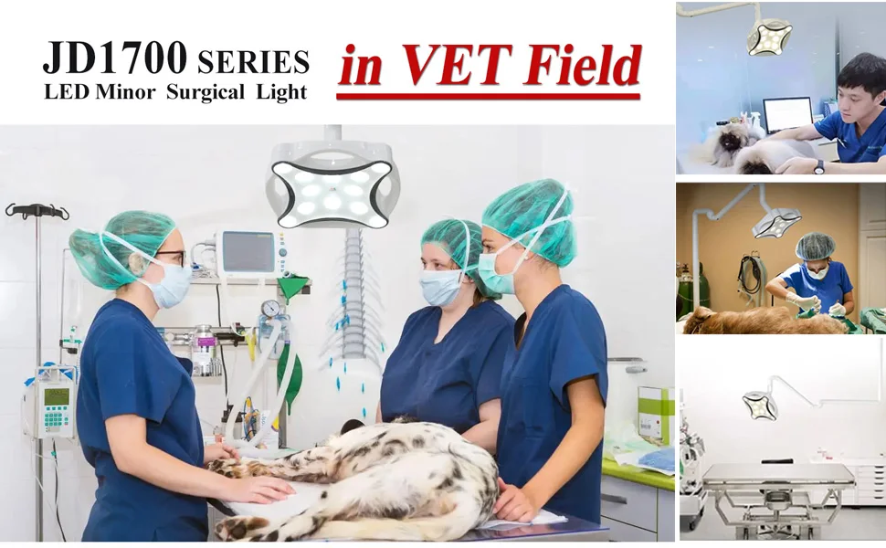 Hot Product Veterinary Operating LED Light Theater Room Headlight Surgical Lamp Vet Double dome light for veterinary details