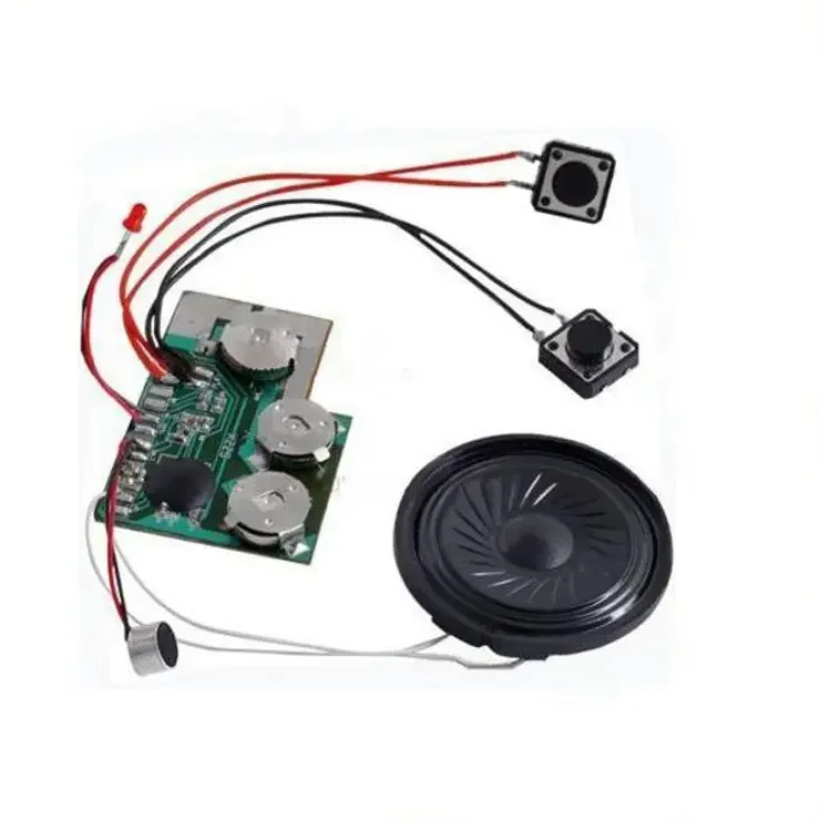 Mini Voice Recorder Chip Recordable Sound Module with Speaker for Personalized Postcard and Greeting Cards