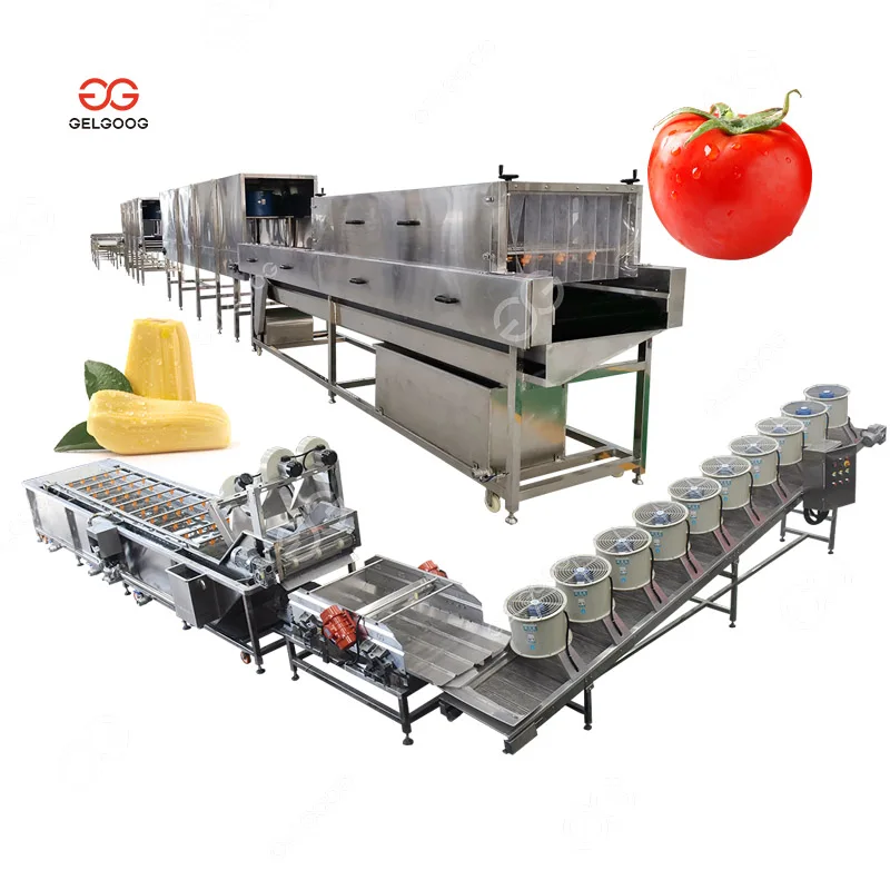 Water Melon Vegetable Washing Machine Fruit and Vegetable Wash Fruit Cleaning With Ozone