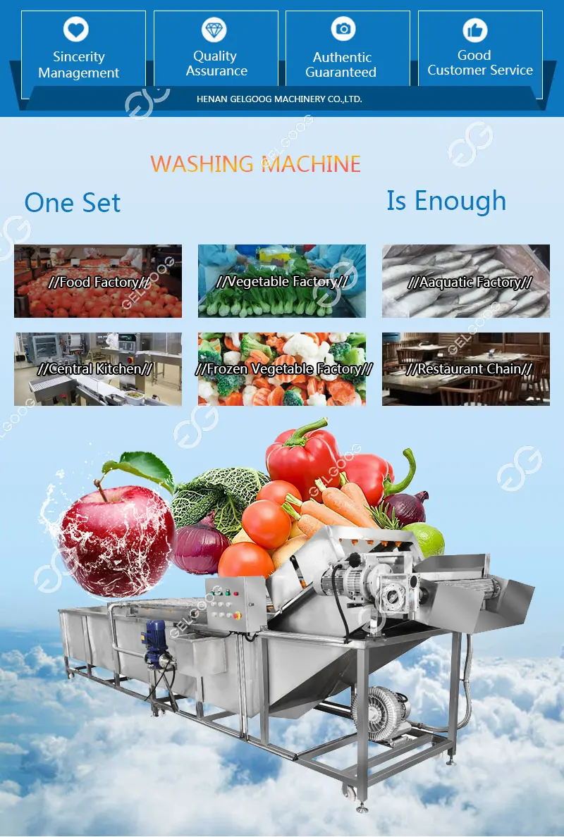 Automatic Dates Cleaning Line Fruit Sorting Equipment Date Washing and ...