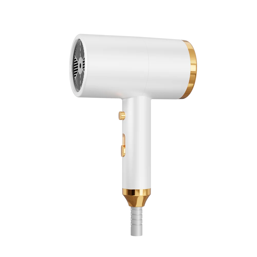 5 in 1 Hand Rechargeable Salon Professional Ionic Hair Dryer for  Brush for Household & Hotel Use
