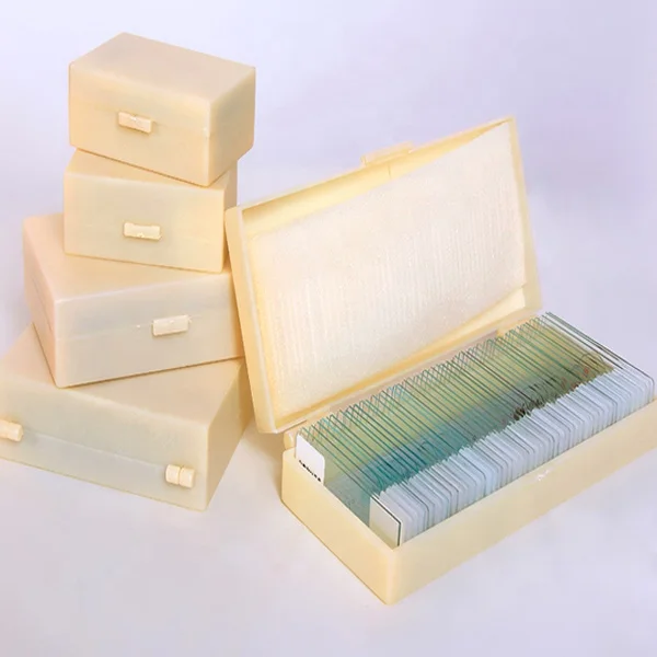 Средняя школа б/у Гистология стекло микроскоп шлепанцы без задника с открытыми пальцами ткани