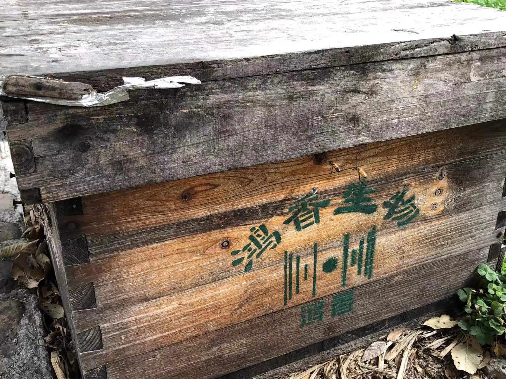 Чистый Натуральный Необработанный мед одобренный SASO медовый зийемен