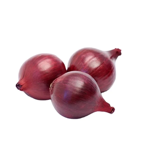 export onion fresh red shallot with best prices, onion from