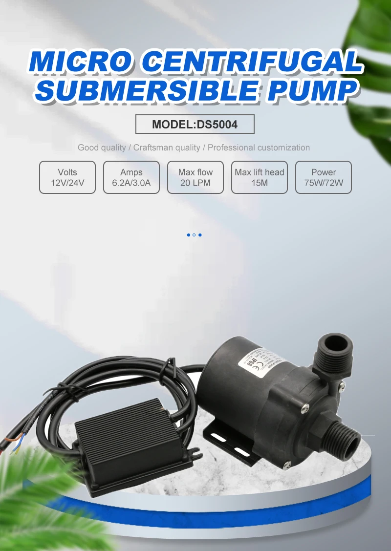 12v 24v Kopf 15m 20lpm Pumpen Drehzahl Einstellbar Kleine Elektrische