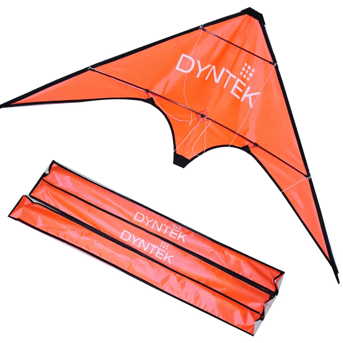 OEM Dual Line Easy Flying Sports Stunt Kite - Dingsheng