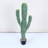 114cm