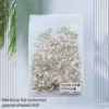 Goutte d'eau en cristal ab 2*3mm