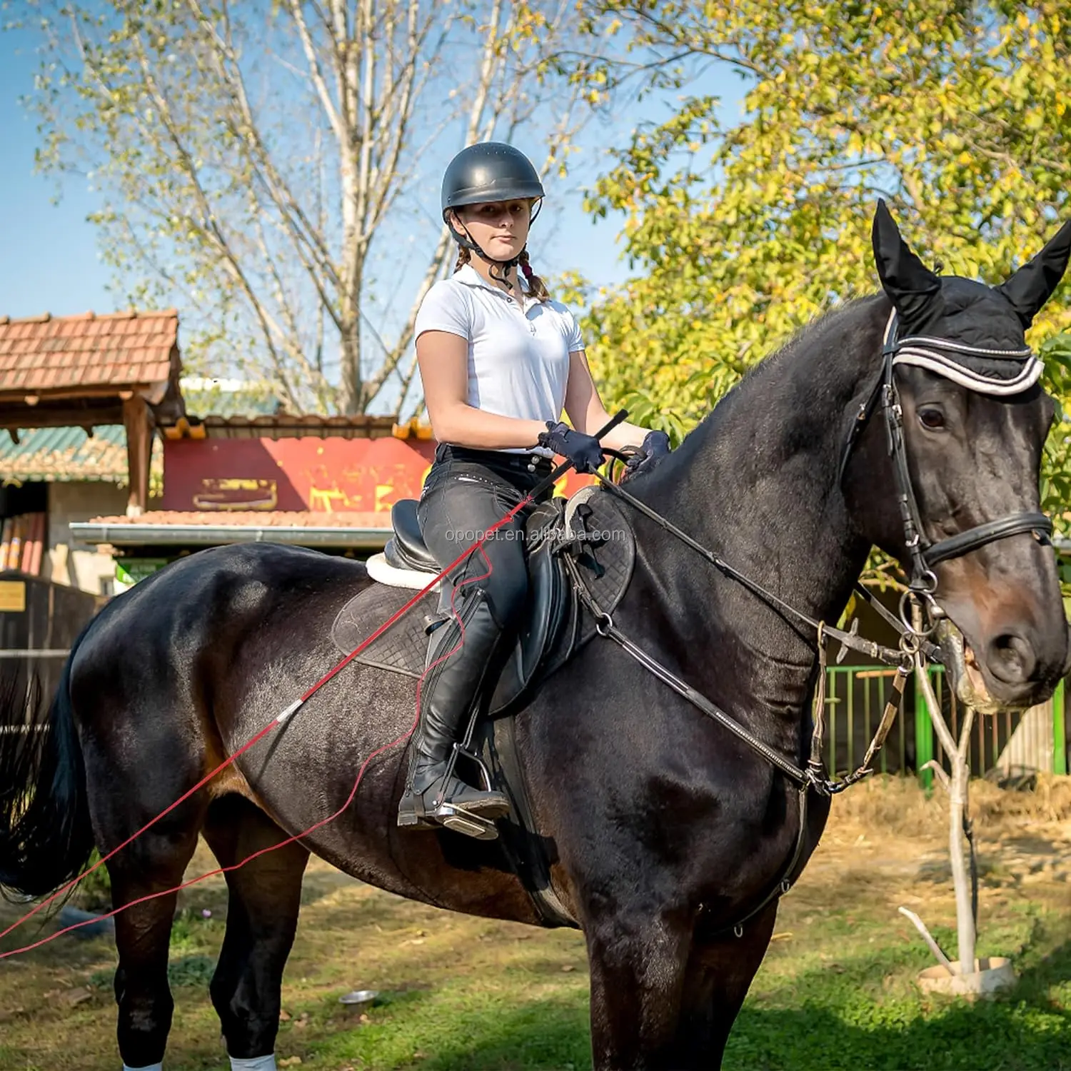 Horshi Customized Lunge Whip With Rubber Handle Can Detachable Into Two