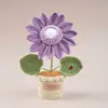 Pourpre