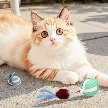 New Interactive Electric Laser cat and Dog Toys New Real Fur cat Toy Stick Artifact Cross-border Automatic Plastic Toy Box