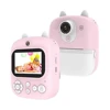 Pink (Standard configuration without memory card)