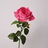 rose rouge