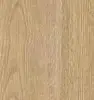 G4919