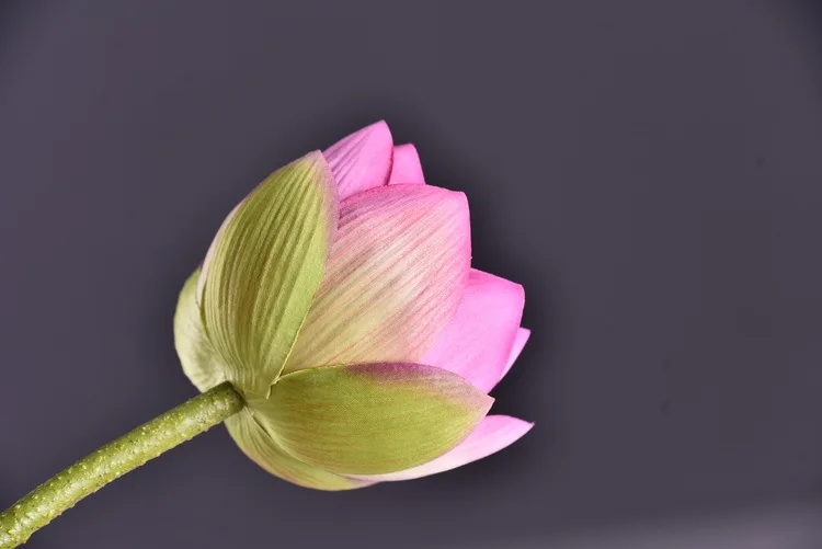 Wholesale Artificial Silk Lotus Flowers For Buddha Temple Pool Pond Home Decoration Buy Lotus