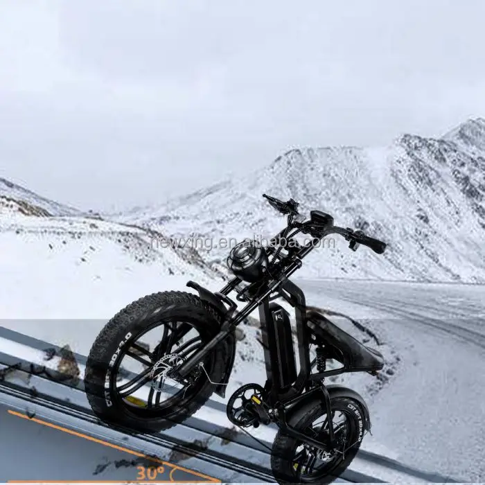 Electric Fatbike Velo Electrique Electric Motorcycle Electric Cycles