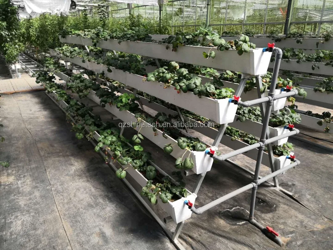 A frame hydroponic system