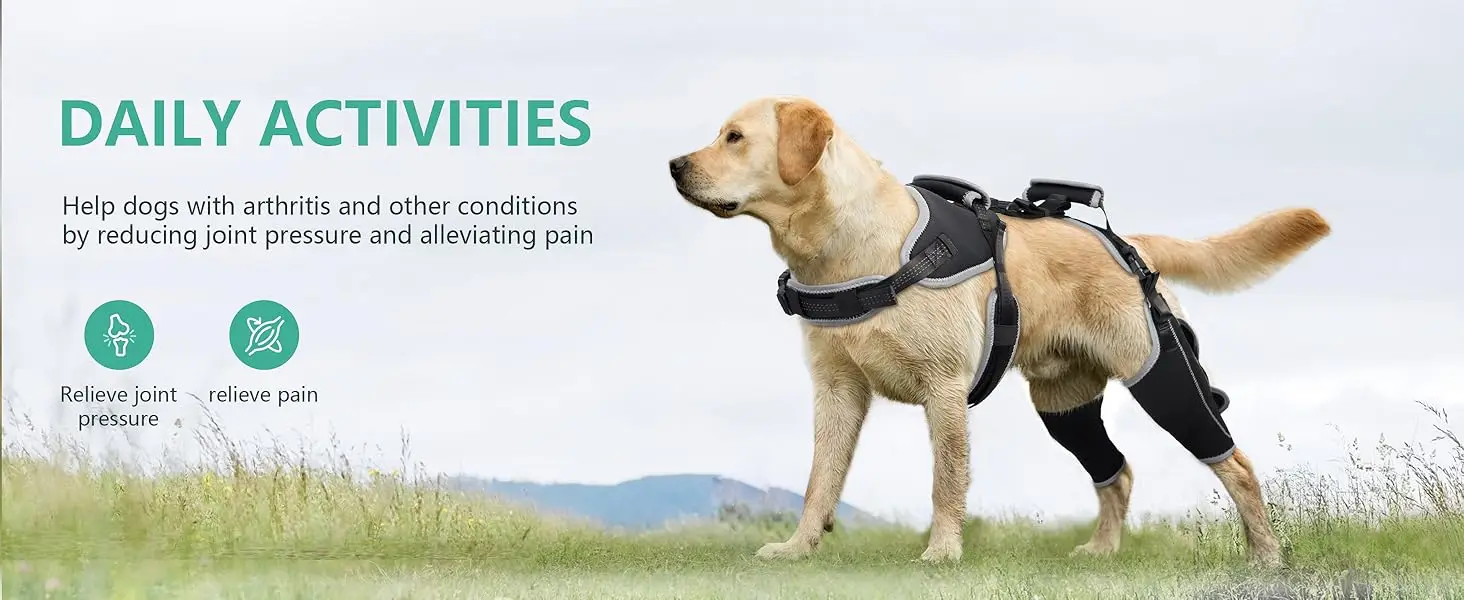 Dog Knee Brace For Luxating Patella And Torn ACL Cruciate Ligament Support For Hind Legs With ACL Brace