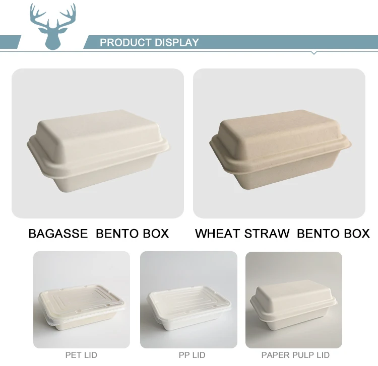 100% Biodegradable Eco-Friendly Disposable Bento Lunch Box Waterproof ...