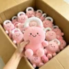 2 peluche (contattaci per il catalogo con oltre 6000 modelli)