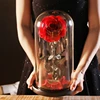 Red YSH-10-2/red