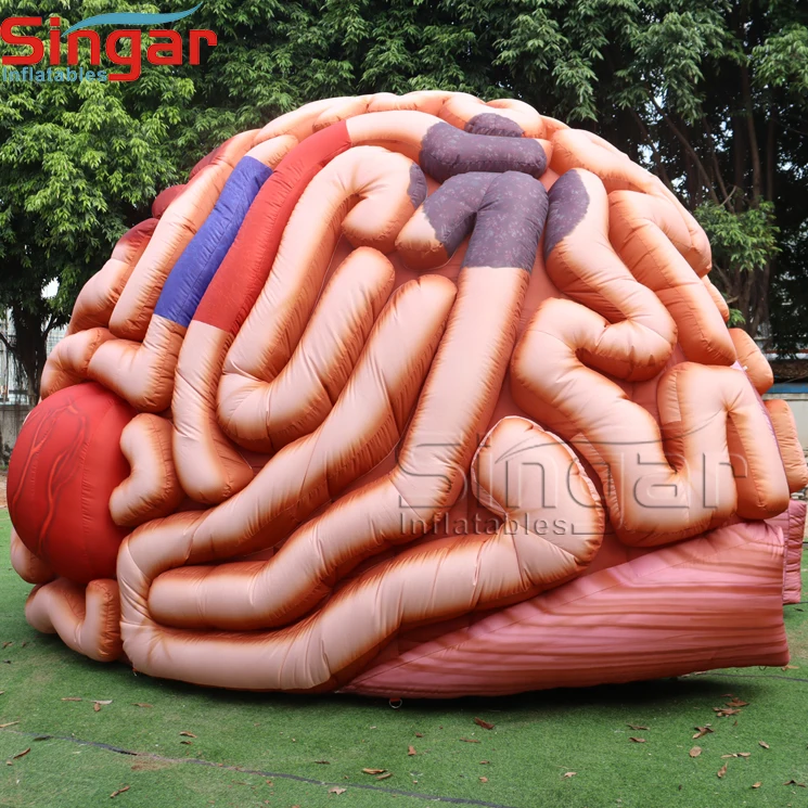 Giant Inflatable Brain Display Inflatable Brain Brain Inflatables Buy