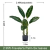 90 cm verde