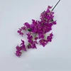 #1 fiore di bouganville viola