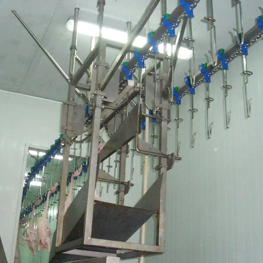 High-efficiency poultry slaughtering line, processing 1,000-3,000 poultry per hour